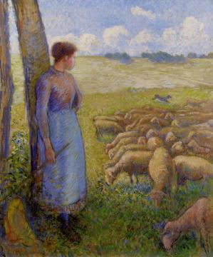 Shepherdess And Sheep Artwork by Camille Pissarro