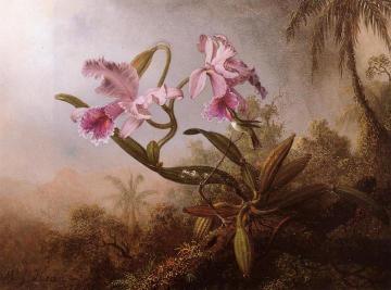Orchids and Hummingbird Artwork by Martin Johnson Heade