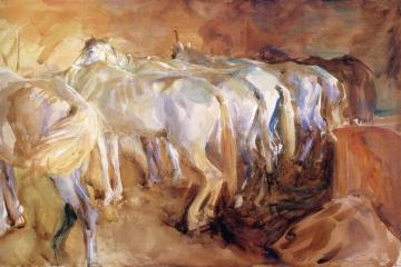 Bus Horses In Jerusalem Artwork by John Singer Sargent