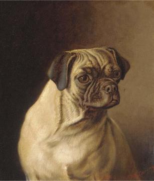 A Pug Artwork by Horatio Henry Couldery