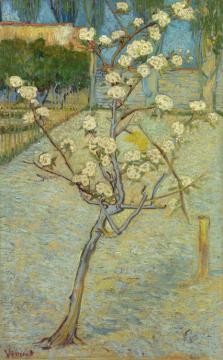 Pear Tree In Blossom Artwork by Vincent Van Gogh