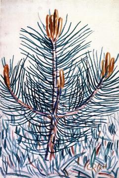 Young Pine Artwork by Christian Rohlfs