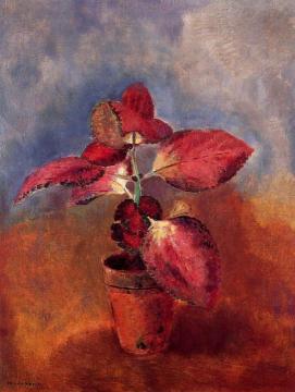 Begonia In A Pot Artwork by Odilon Redon