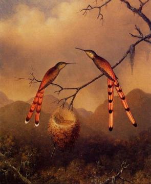Two Hummingbirds with Their Young Artwork by Martin Johnson Heade