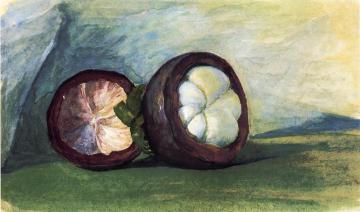 Fruit of the Mangosteen, Java Artwork by John La Farge