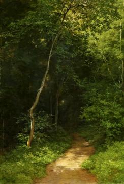 Forest Track Artwork by Robert Zund