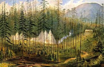 Camp Mooyie, 49th Parallel Artwork by James Madison Alden