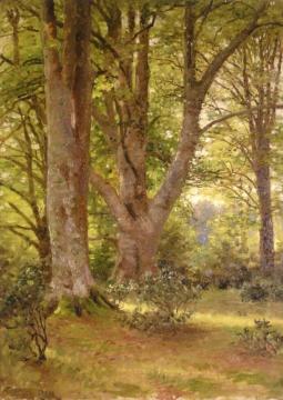 Beech Trees Artwork by Anna Mary Richards Brewster