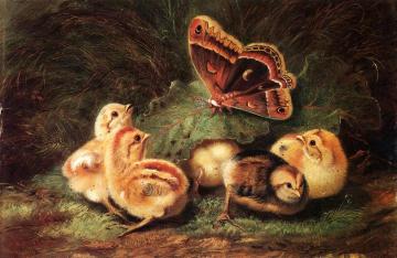 Young Chickens Artwork by Arthur Fitzwilliam Tait