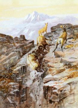 Big Horn Sheep Artwork by Charles Marion Russell