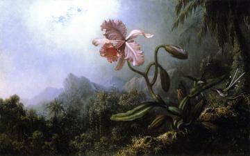 Two Hummingbirds with an Orchid Artwork by Martin Johnson Heade