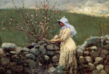 Peach Blossoms Artwork by Winslow Homer