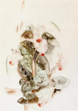 Cyclamen Artwork by Charles Demuth
