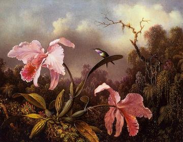 Orchids And Hummingbird Artwork by Martin Johnson Heade