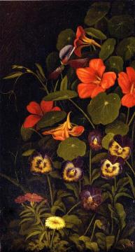 Pansies and Nasturtiums Artwork by Levi Wells Prentice