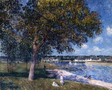 Walnut Tree in a Thomery Field Artwork by Alfred Sisley