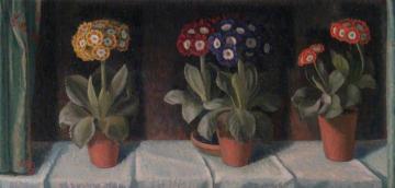 Auriculas In Pots Artwork by Charles Mahoney