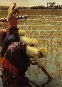 In the Rice Fields Artwork by Angelo Morbelli