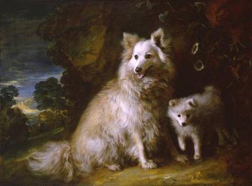 Pomeranian Bitch And Pup Artwork by Thomas Gainsborough
