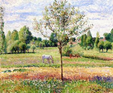 Meadow with Grey Horse, Eragny Artwork by Camille Pissarro
