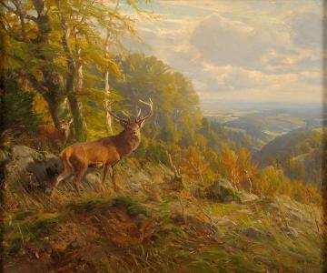 Deer Artwork by Albert Holz