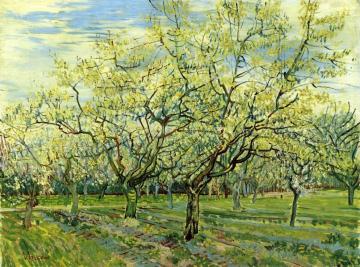 Orchard with Blossoming Plum Trees Artwork by Vincent Van Gogh