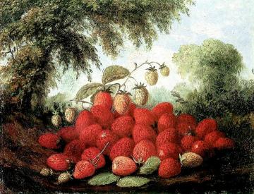 Strawberries Spilling from a Basket and Growing on a Bush Artwork by Paul Lacroix