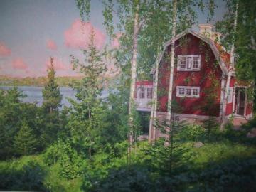 Brokind Artwork by Johan Krouthén