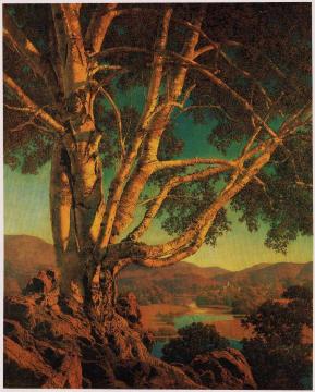 Old White Birch Artwork by Maxfield Parrish