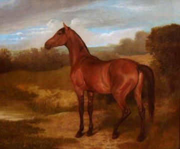 Colt Of Mare And Arab Horse Artwork by Jacques-Laurent Agasse