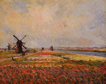 Fields of Flowers and Windmills near Leiden Artwork by Claude Oscar Monet