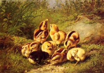 Chicks "rather Hard Fare" Artwork by Arthur Fitzwilliam Tait