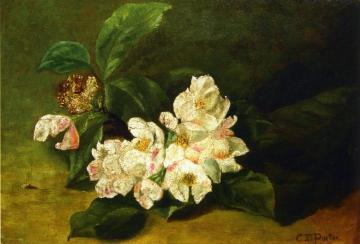 Apple Blossoms on a Ledge Artwork by Charles Ethan Porter