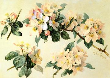 Apple Blossoms with Hummingbird and Bumblebees Artwork by Raoul de Longpre