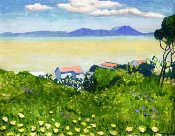 Flowering Field Artwork by Albert Marquet