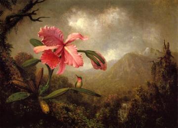 Orchid and Hummingbird near a Mountain Waterfall Artwork by Martin Johnson Heade