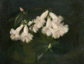 Orchids Artwork by James Stuart Park