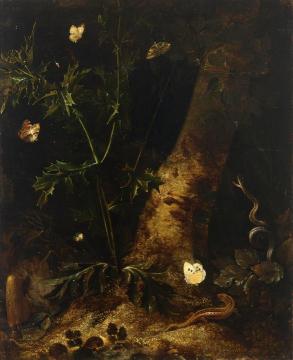 A Forest Floor Still Life with a Salamander, Snake and Various Butterflies around a Thistle Artwork by Otto van Schrieck