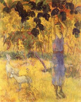 Man Picking Fruit from a Tree Artwork by Paul Gauguin