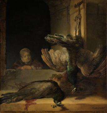 Dead Peacocks Artwork by Rembrandt van Rijn