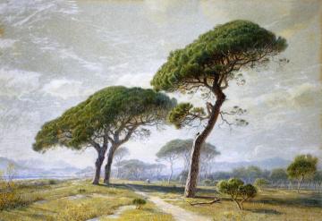 View Of Cannes With Parasol Pines Artwork by William Stanley Haseltine