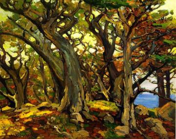 Monterey Cypress Artwork by Franz Bischoff