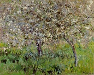 Apple Trees in Bloom at Giverny Artwork by Claude Oscar Monet