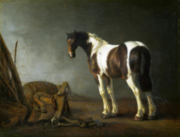 A Horse with a Saddle Beside it Artwork by Abraham van Calraet