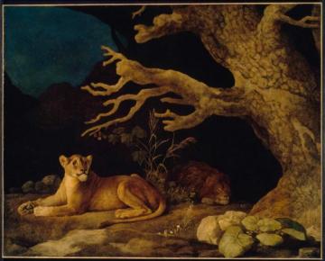Lion and Lioness Artwork by George Stubbs