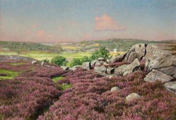 Heather-clad cliffs with sheep Artwork by Johan Krouthén