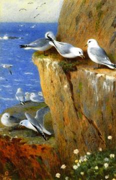 Seagulls Artwork by Archibald Thorburn