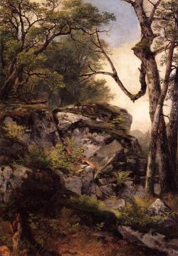Woodland Scene Artwork by Asher B. Durand