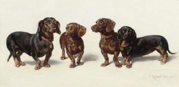 Four Dachshunds Artwork by Carl Reichert