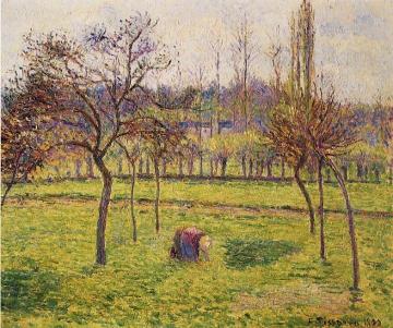 Apple Trees in a Field Artwork by Camille Pissarro